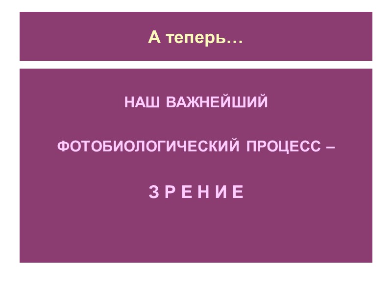 А теперь…  НАШ ВАЖНЕЙШИЙ   ФОТОБИОЛОГИЧЕСКИЙ ПРОЦЕСС –   З Р